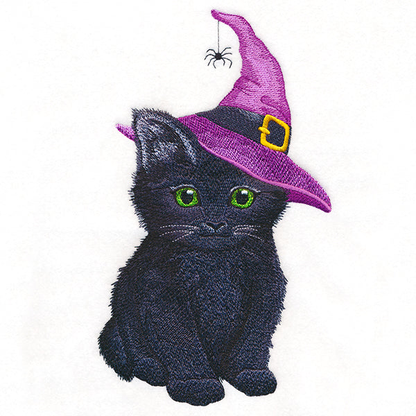 Sweet Witchy Kitten