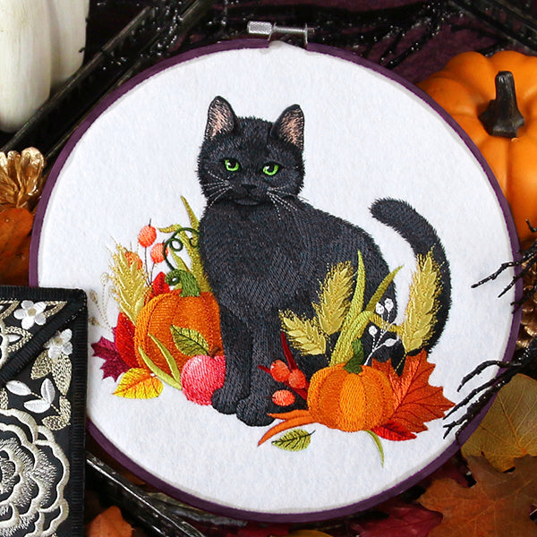 Kitty's Autumn Bounty