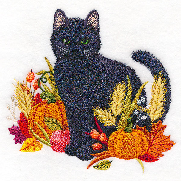 Kitty's Autumn Bounty