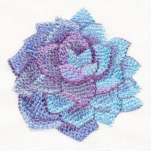 Sweet Succulent in Watercolor