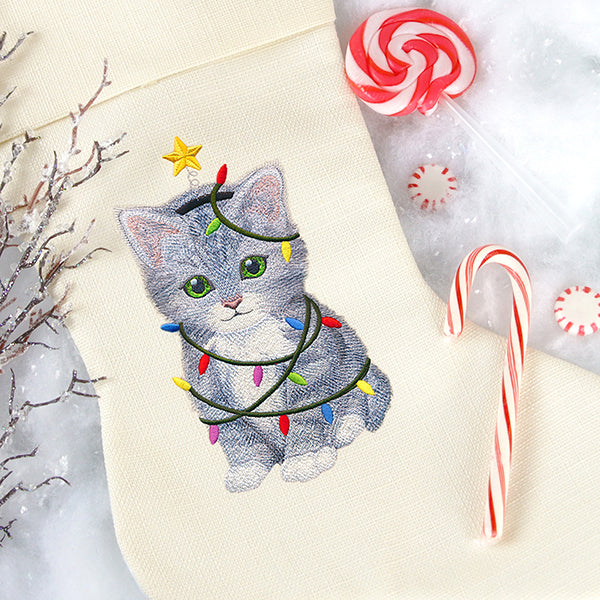 Sweet Christmas Kitten