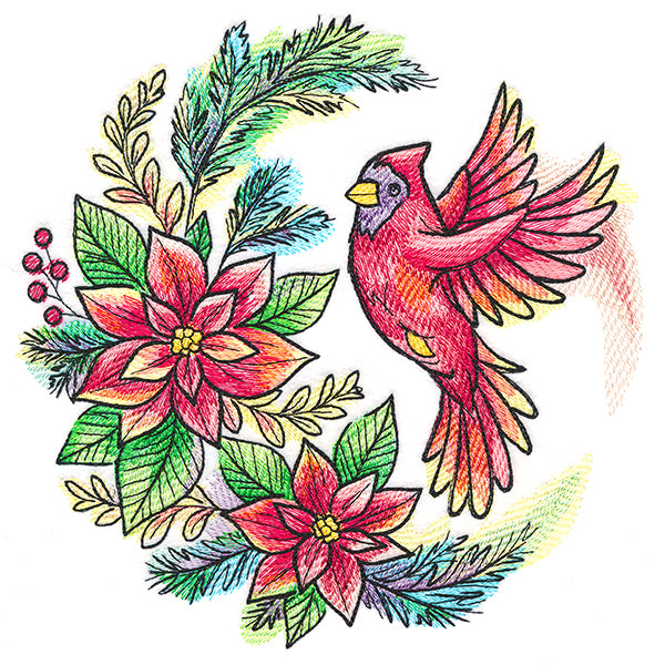 Poinsettia Blooms Cardinal