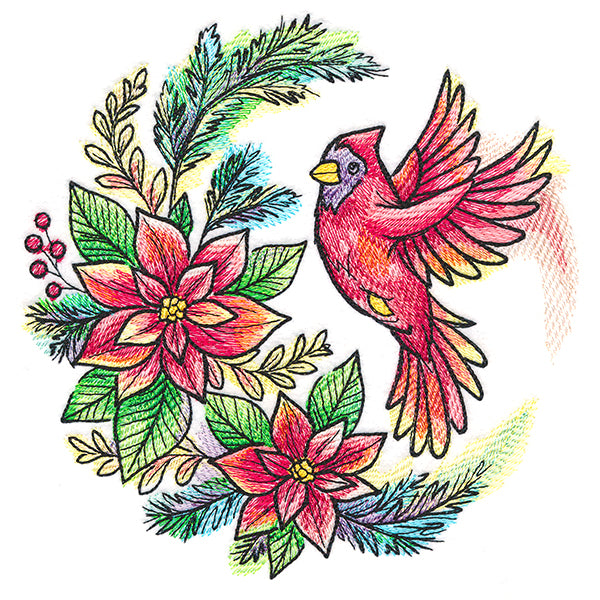 Poinsettia Blooms Cardinal