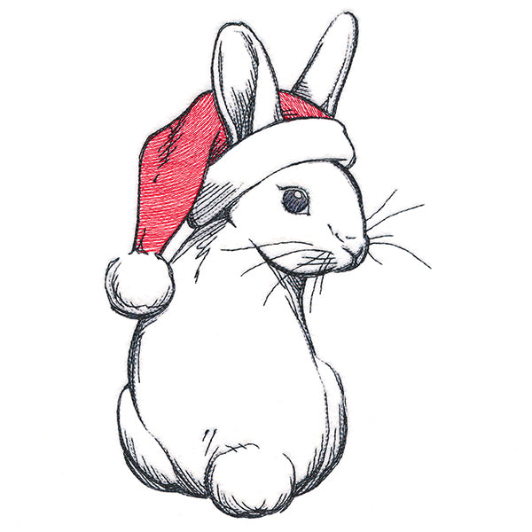 Sweet Santa Bunny
