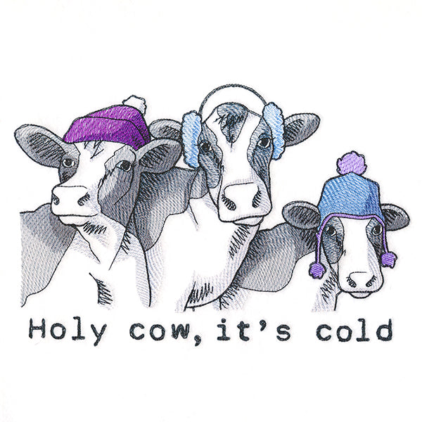 Holy Cow, It's Cold Cows