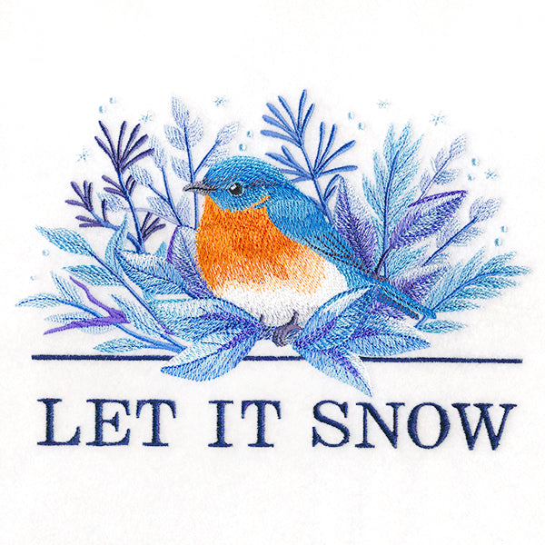 Beautiful Winter Bluebird