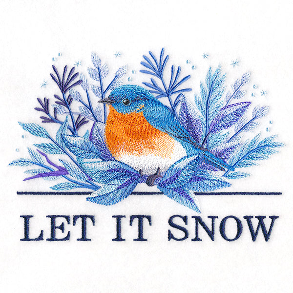 Beautiful Winter Bluebird