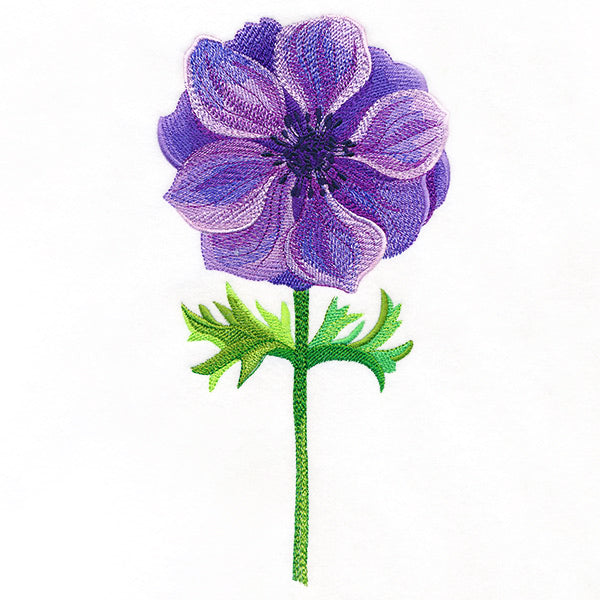 Precious Anemone in Watercolor