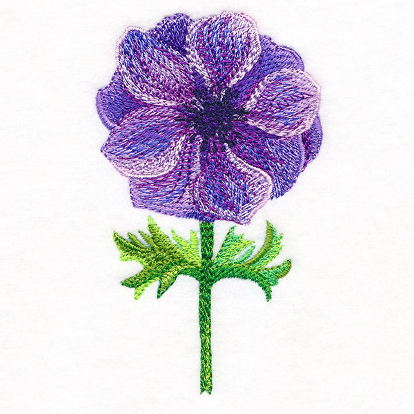 Precious Anemone in Watercolor