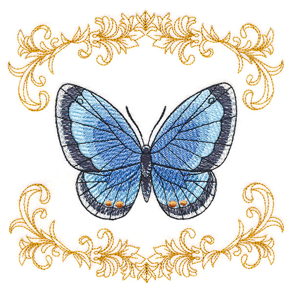 Beautiful Butterfly in Filigree
