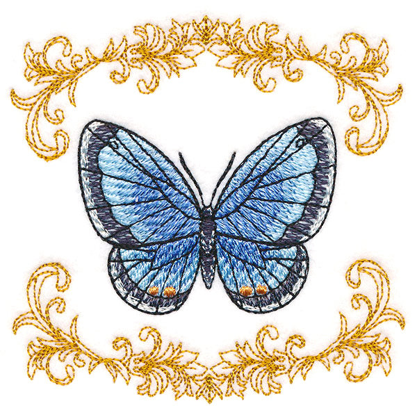 Beautiful Butterfly in Filigree