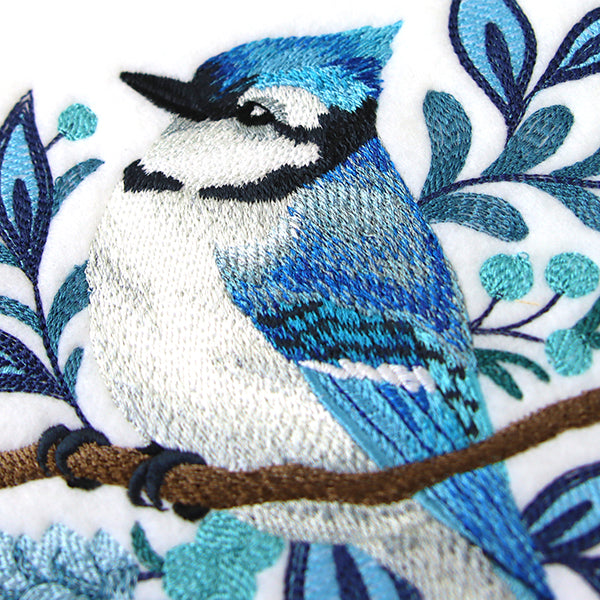 Frosted Winter Blue Jay