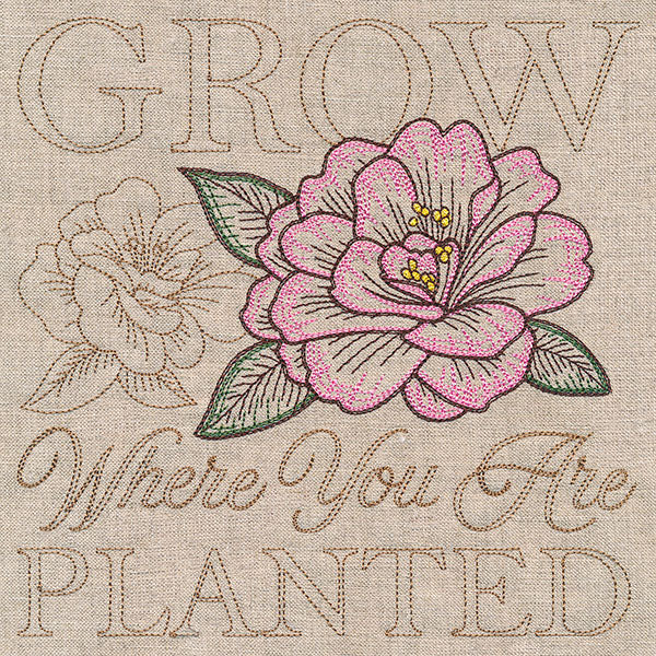 Blooming Peony Medley