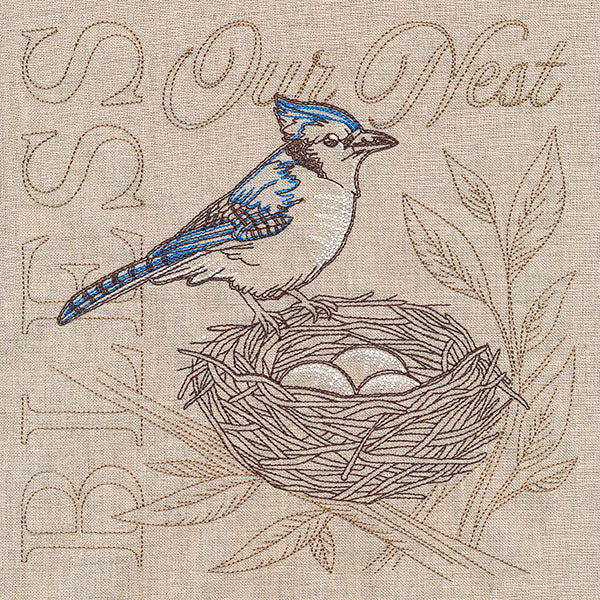 Sweet Blue Jay Medley