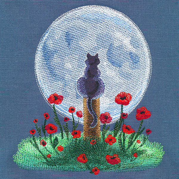 Enchanting Moonlit Kitty