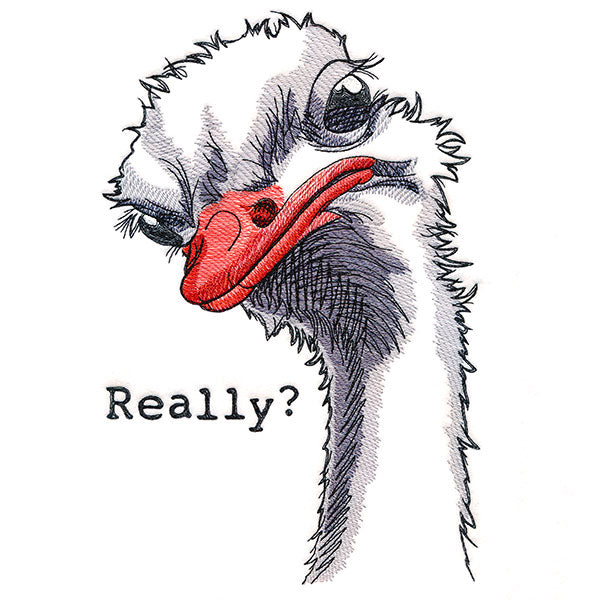 Really? Ostrich