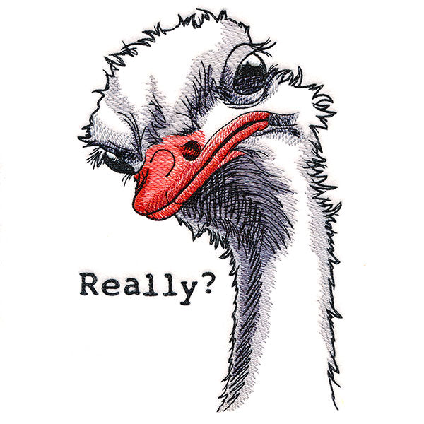 Really? Ostrich