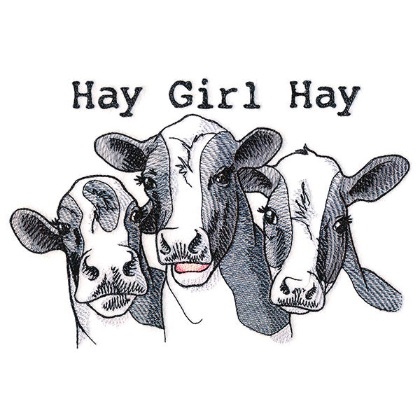 Hay Girl Hay Cows