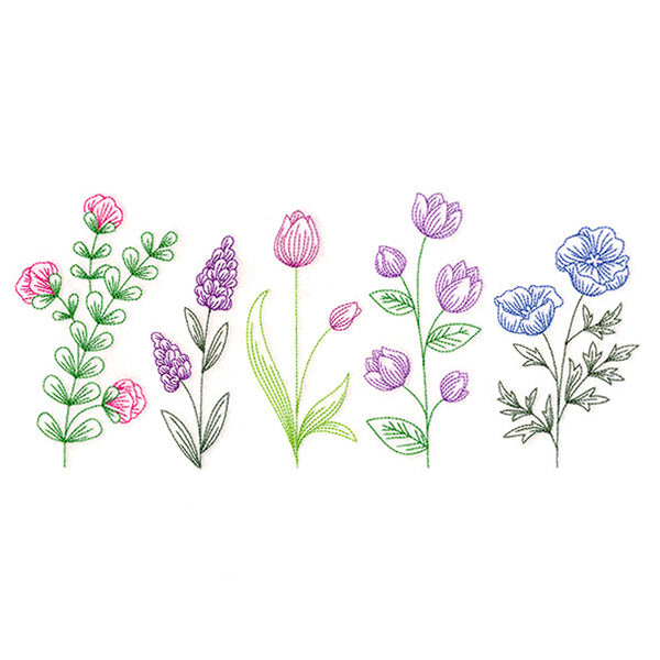 Dainty Wildflower Border 1