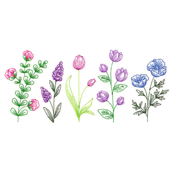 Dainty Wildflower Border 1