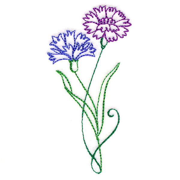 Floral Calligraphy - Cornflower