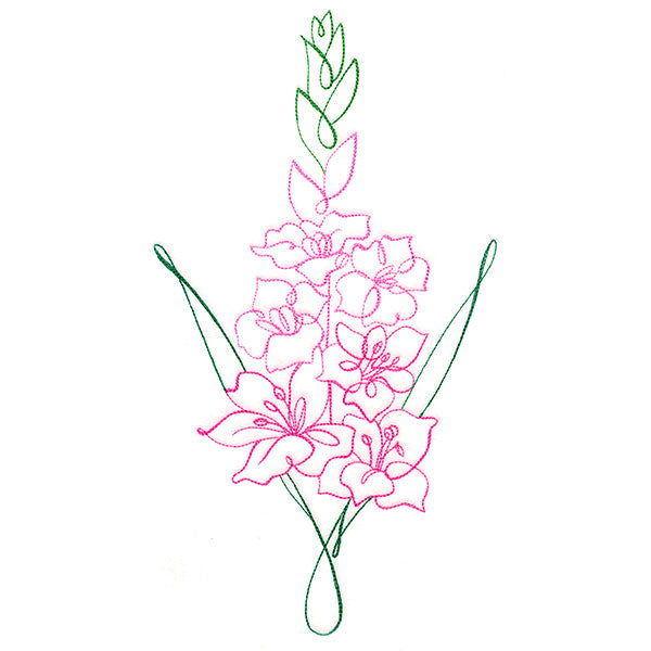 Floral Calligraphy - Gladiolus