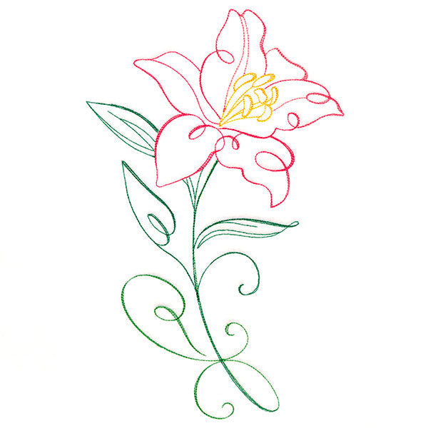 Floral Calligraphy - Lily