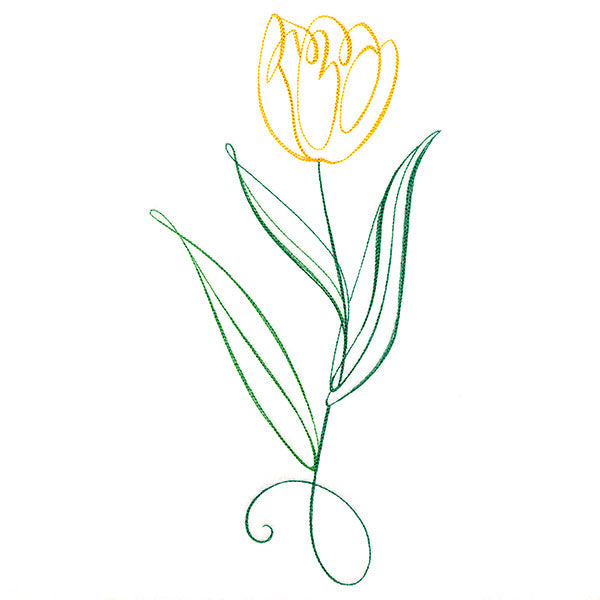 Floral Calligraphy - Tulip
