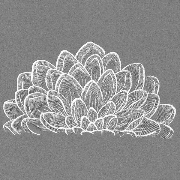 Blooming on the Edge Dahlia