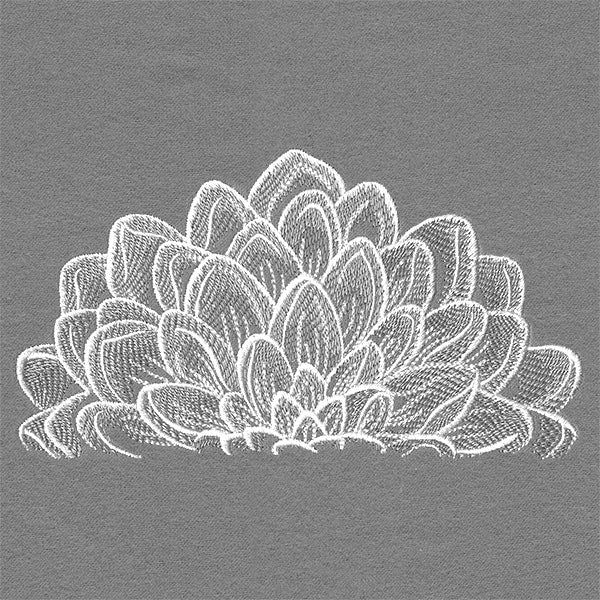 Blooming on the Edge Dahlia