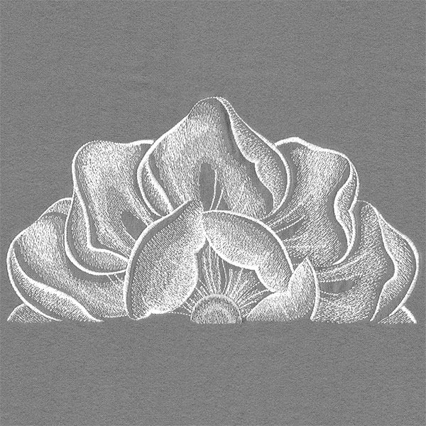 Blooming on the Edge Magnolia