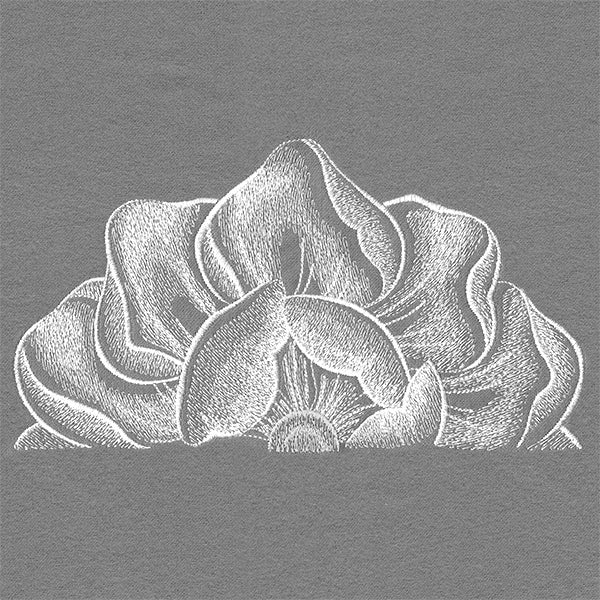 Blooming on the Edge Magnolia