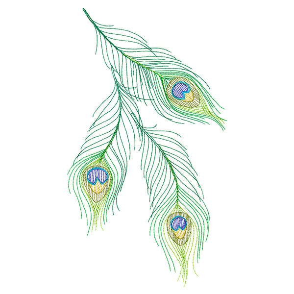 Cascading Peacock Feathers