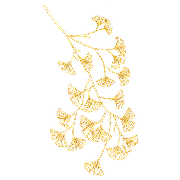 Delicate Branching Ginkgo