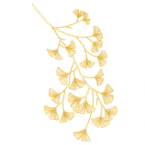 Delicate Branching Ginkgo