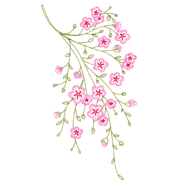 Dainty Branching Cherry Blossoms