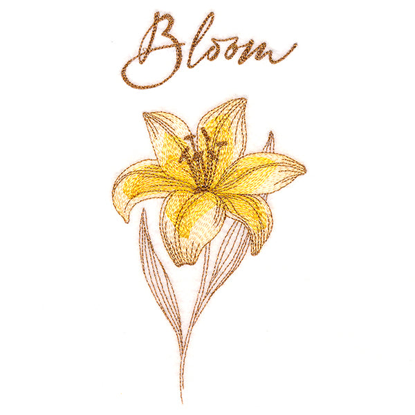 Springtime Shimmer - Bloom Flower