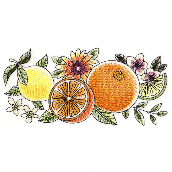 Fresh Citrus and Botanicals Border