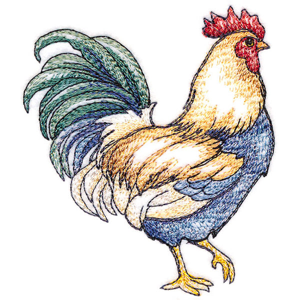 Charming Country Chicken