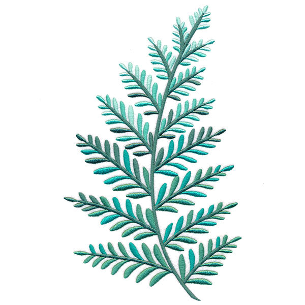 Graceful Fern