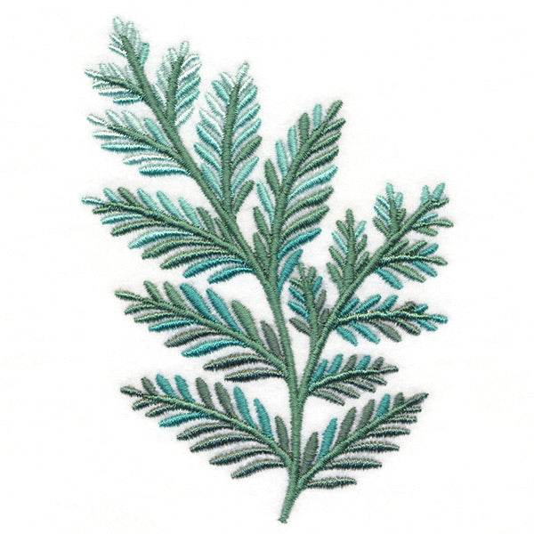 Fanciful Fern