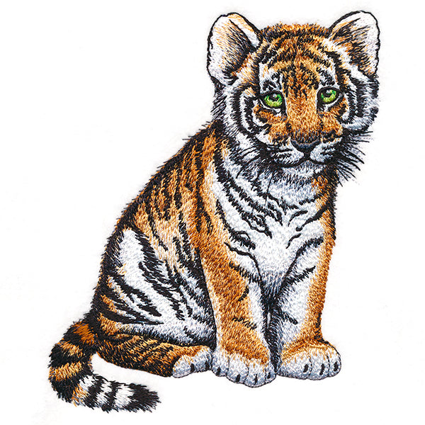 Sweet Baby Tiger