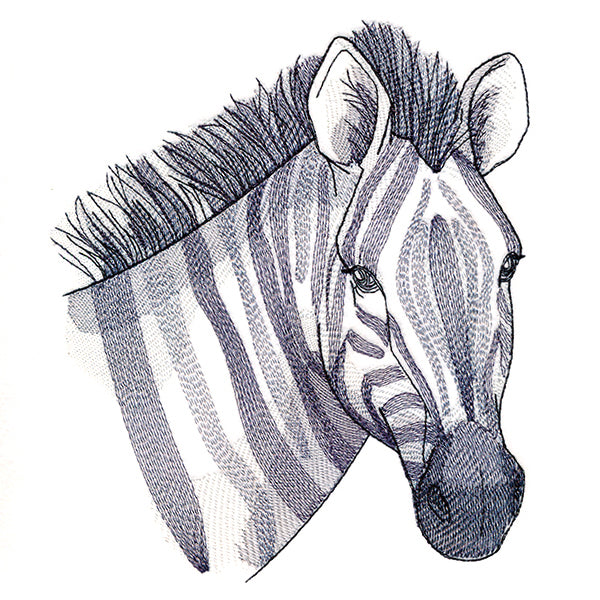 Elusive Zebra