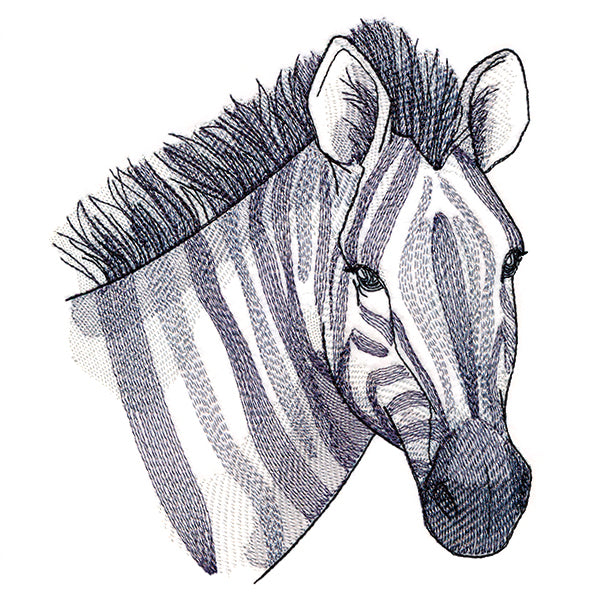 Elusive Zebra