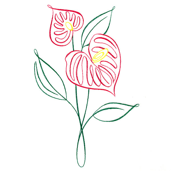 Tropical Calligraphy in Bloom - Anthurium