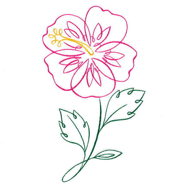 Tropical Calligraphy in Bloom - Hibiscus