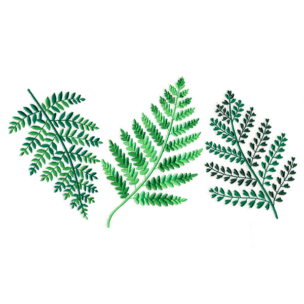 Wild Fern Trio
