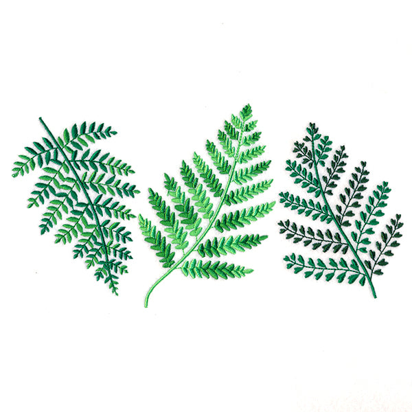 Wild Fern Trio