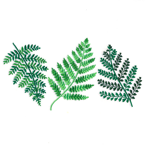Wild Fern Trio
