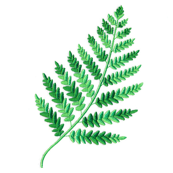 Wild Fern 2